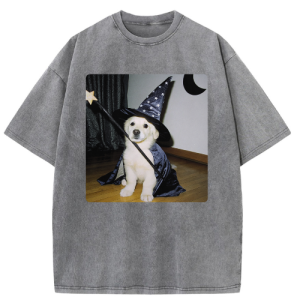 Barman Women Vintage Washed T‑Shirt Cute Wizard Golden Retriever Graphic Short Sleeve Tee